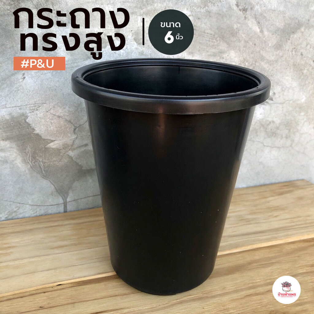 กระถาง 6 นิ้ว ทรงสูง P&U #060 กระถางพลาสติก แคคตัส กระบองเพชร ไม้อวบน้ำ Cactus&Succulent