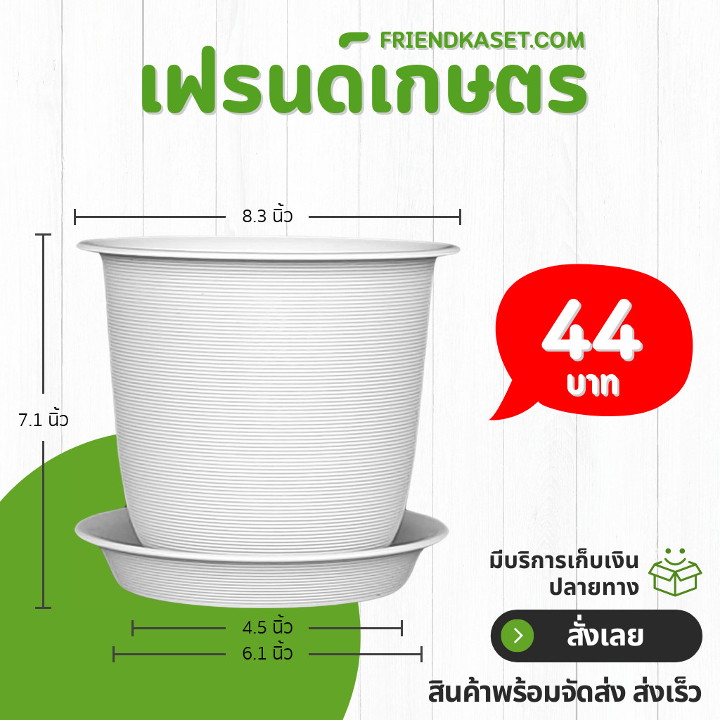 กระถาง กระถางต้นไม้ มินิมอล จัมโบ้+จาน ขนาด 8 นิ้ว สีดำ สีขาว สีเทา สีอิฐ สีโอ๊ค Bundle 5 ใบ ชิ้น อัน