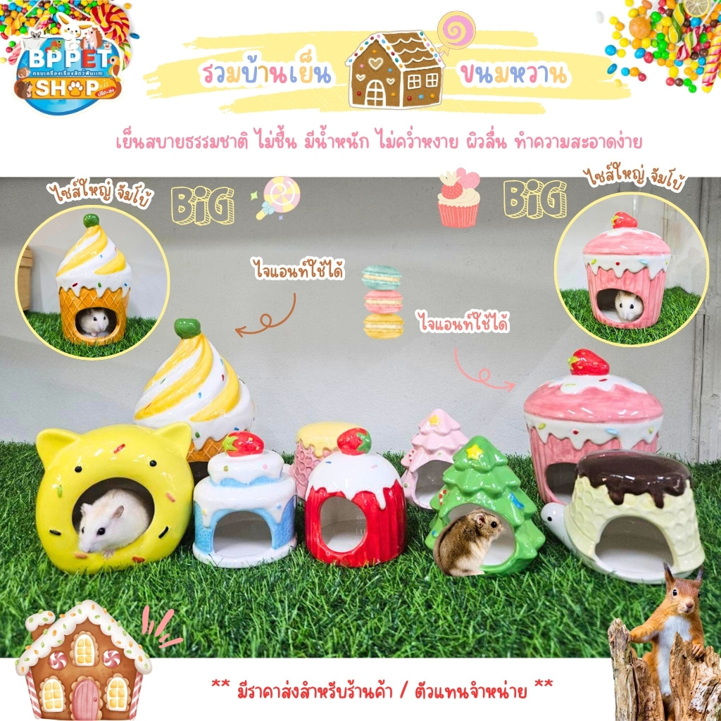 บ้านหนูแฮมสเตอร์ บ้านเย็นหนู ดอร์เมาส์ ชูก้าร์ไกลเดอร์ นกแก้ว บ้านเซรามิค ขนมหวาน บ้านสัตว์เล็ก (BP)