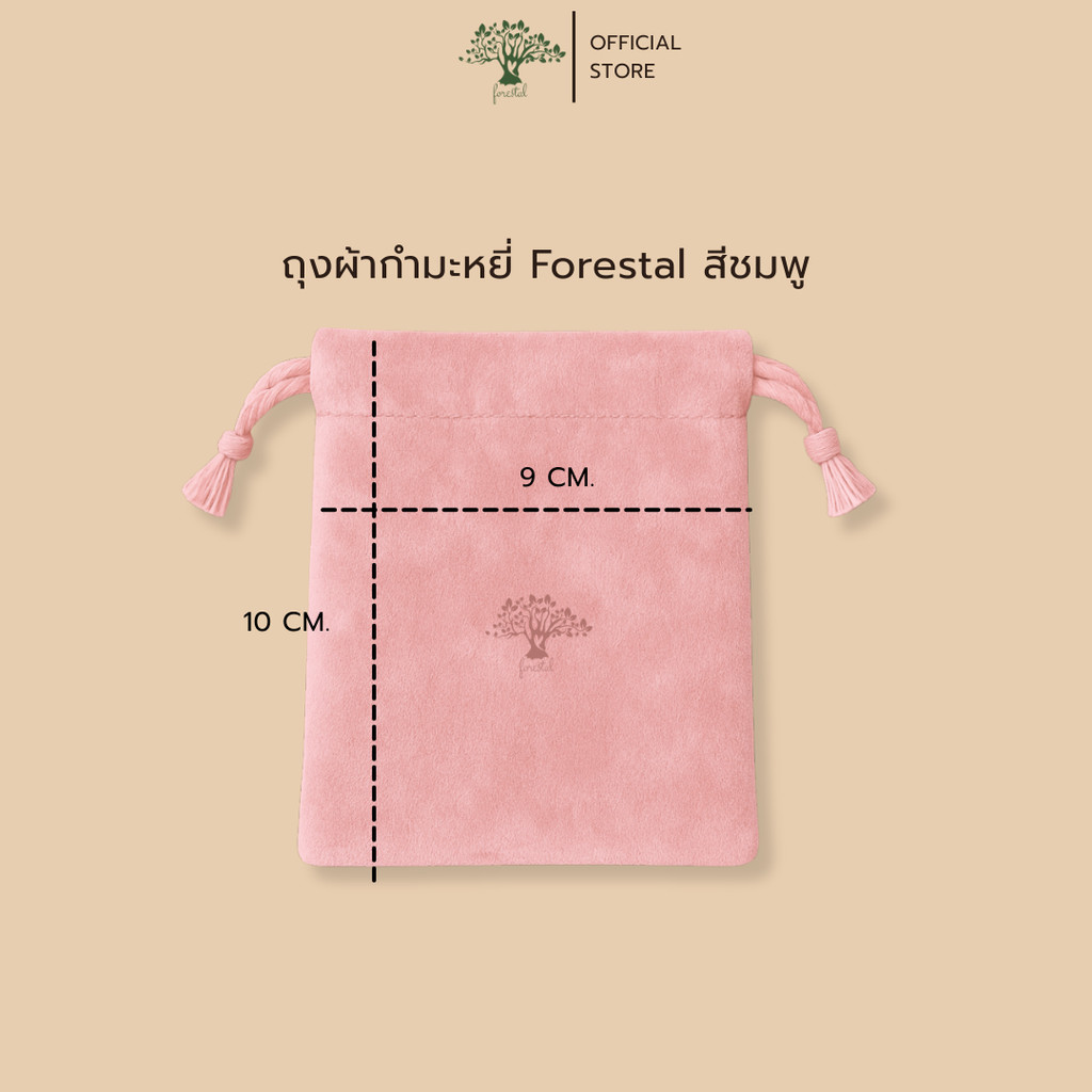 รูปภาพ 5