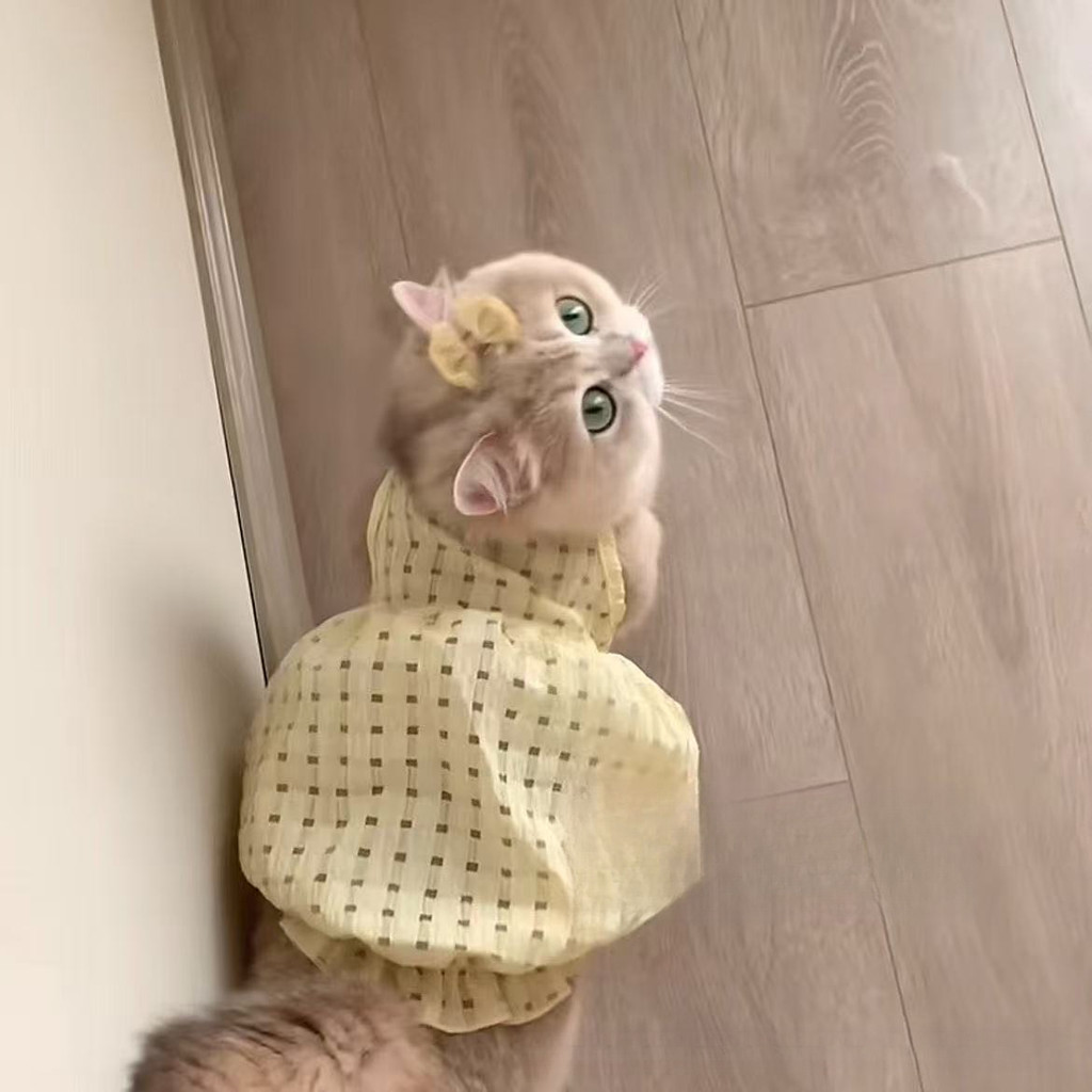 รูปภาพ 5