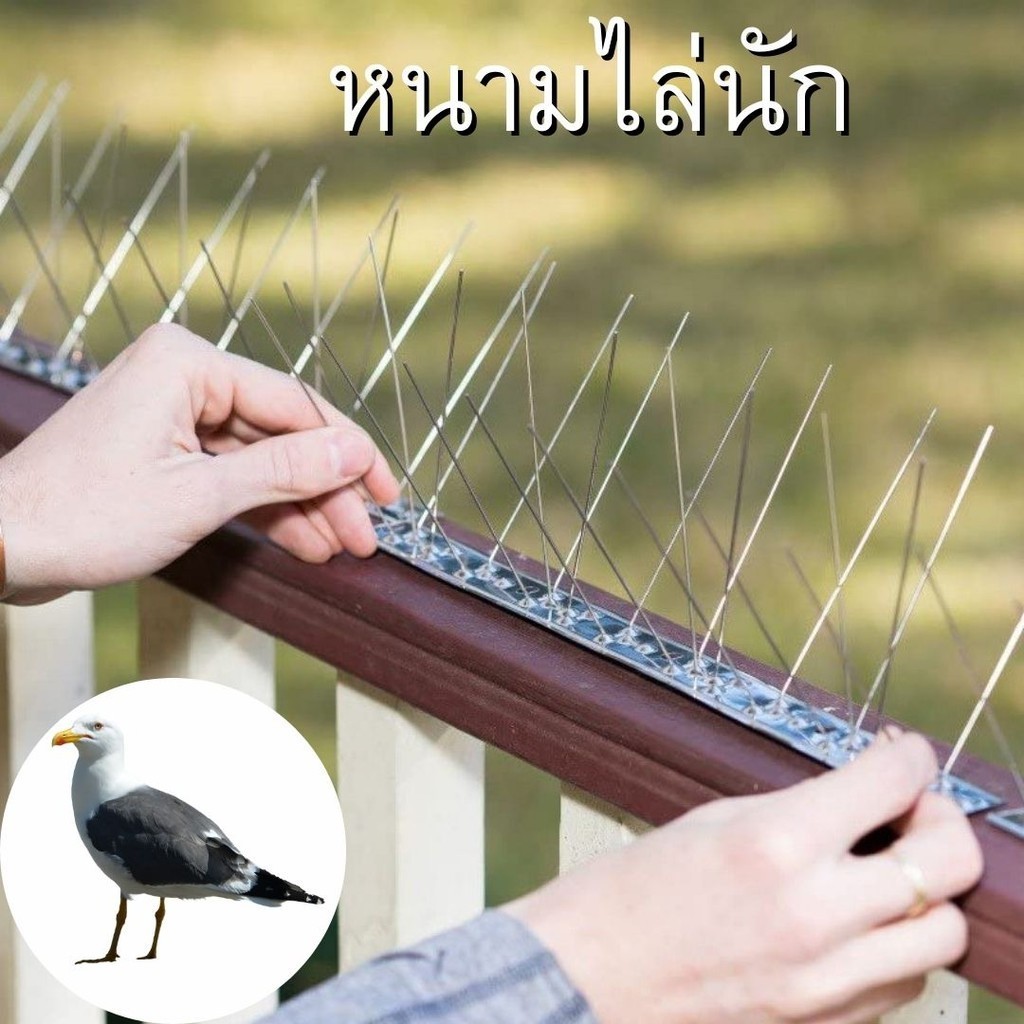 หนามไล่นกสแตนเลส ขนาด 25cm. และ 50cm.