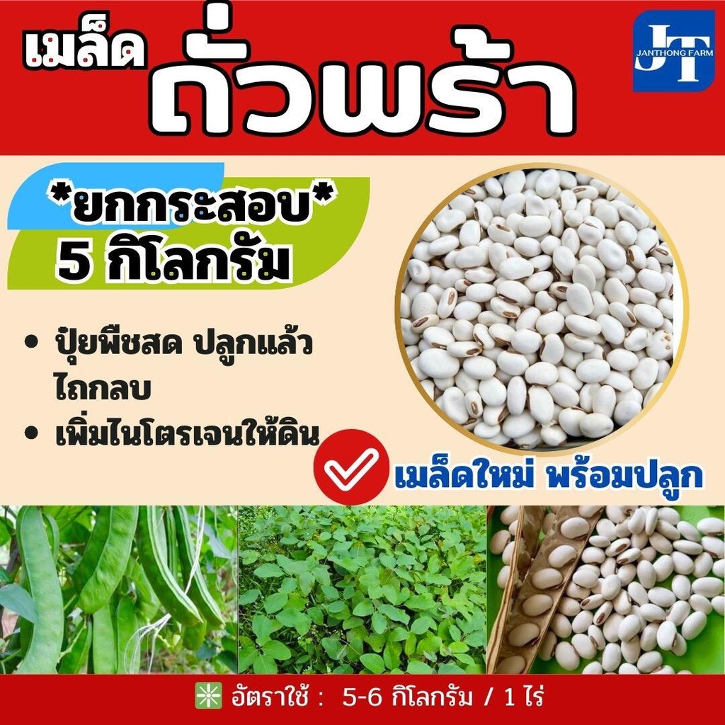 เมล็ดถั่วพร้า 5 กก.#พร้อมปลูก