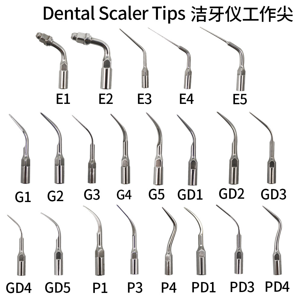 สแตนเลส 304 G1 G2 G3 G4 P1 Ultrasonic Scaler Scaling เคล็ดลับจัดฟันเครื่องมือ