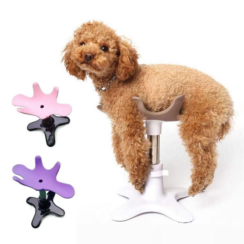 Karen Pet Bath Fixer, ปรับสุนัขกรูมมิ่งความงามคงที่ตารางฐานกรอบ, โลหะ Universal ที่ถอดออกได้ Pest Grooming Fixing ตาราง Pomeranian ราคา ถูกที่สุด ดีลบีเคเค แกลเลอรีภาพที่ 3