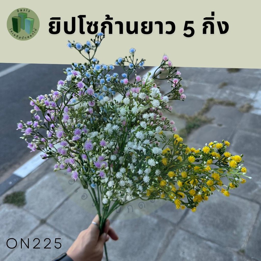 ยิปโซ ดอกยิปโซ ดอกไม้ประดิษฐ์ ดอกไม้แซม ยิปโซ5ก้าน – โปรปัง