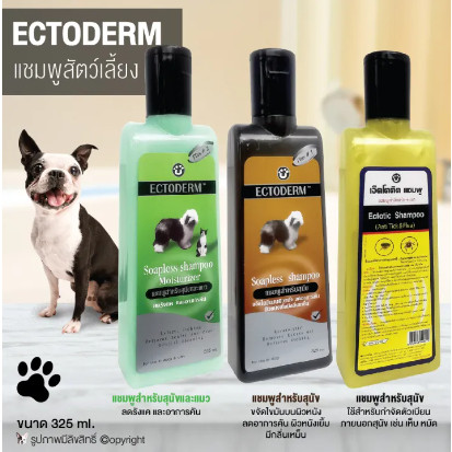 ECTODERM - ECTOTIC แชมพู ขนาด 325 ml