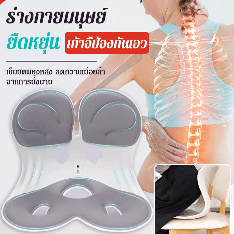 【ขายดี】เบาะรองนั่งปรับท่านั่งจากญี่ปุ่น/ท่าทาง บรรเทาความเครียด เบาะเก้าอี้สะโพก/ปรับท่าทางและบรรเทาอาการปวดหลัง เบาะเก้าอี้/บาะป้องกันกระดูกสันหลัง