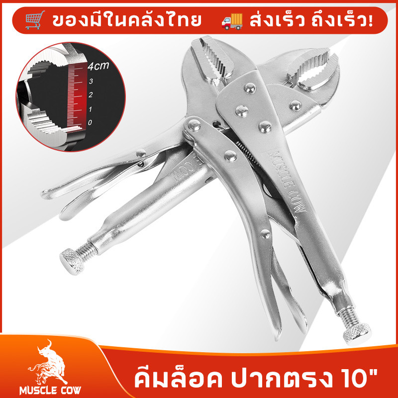 MUSCLE COW คีมล็อคของแท้ ขนาด 10 นิ้ว สำหรับงานหนัก ความแข็งแรงสูง ทนความร้อนได้ ได้สบาย ปากคีมกาง 45 มม.