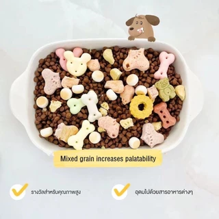 【PET RECORD】🔥บิสกิตสุนัข 100g ขนมขบเคี้ยวสุนัข อร่อย เคี้ยวเพลิน โภชนาการดี เหมาะทุกวัย