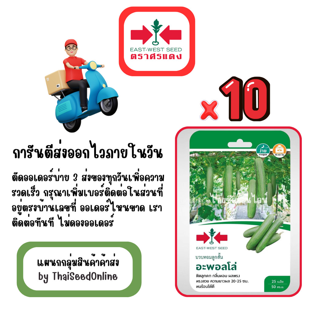 GG x 10 เมล็ดผักซองศรแดง อะพอลโล่ บวบหอม สินค้ายกแพ็ค
