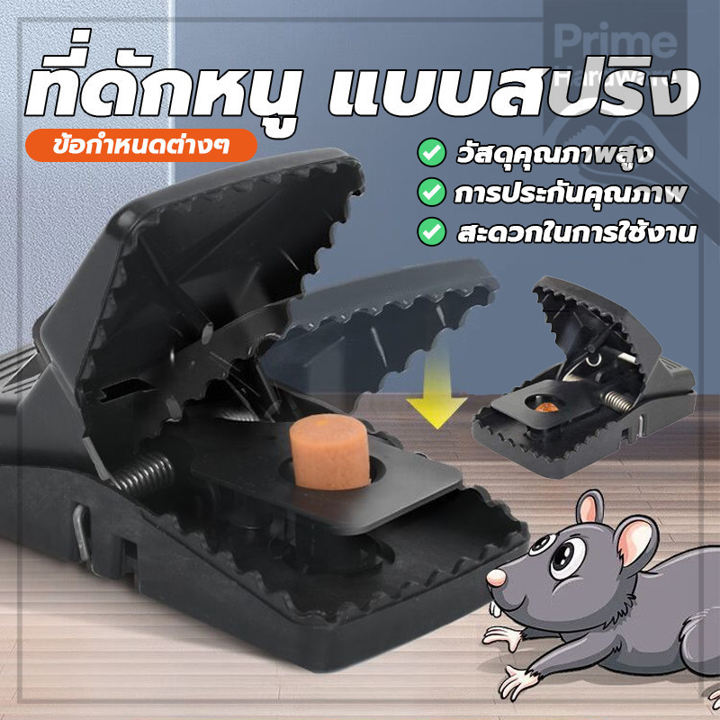 กับดักหนูสปริง mouse traps กับดักหนู สปริงหนา ทนทานและทนทาน กับดักหนูสปริงแอพพลิเคชั่นที่หลากหลาย
