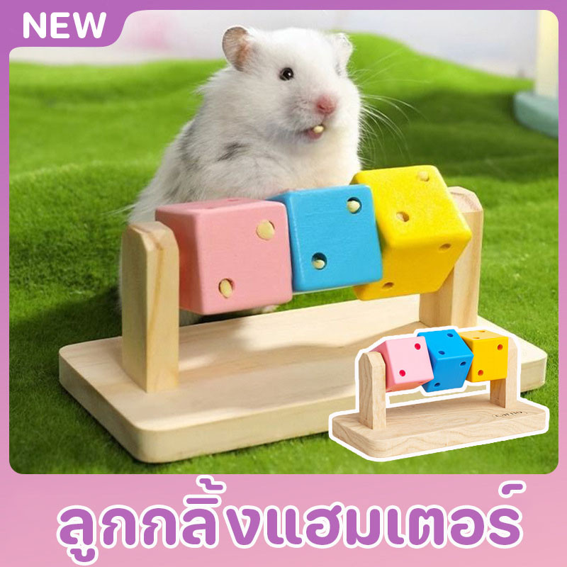 ลูกกลิ้งแฮมเตอร์ ของเล่นแฮมเตอร์ ของเล่นสัตว์เลี้ยง ลูกเต๋าลับฟัน หมุนเล่นได้เสริมพัฒนาการให้น้องได้สนุกไม่เบื่อ