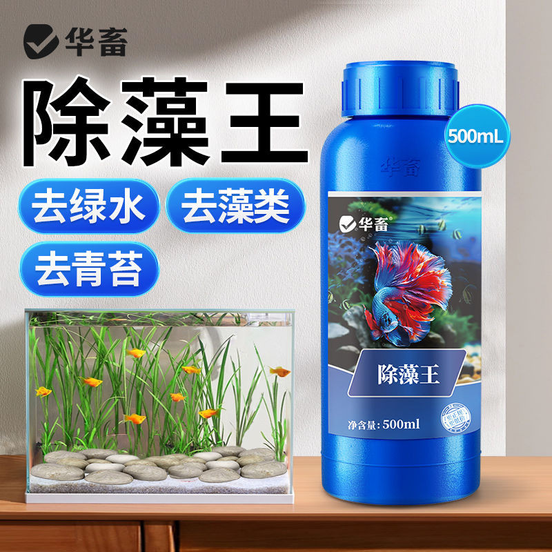 Huazu Aquatic Grass Fish Tank Algae Removal Agent Green Alga华面力草fishfishing Daluable Powder Powder P