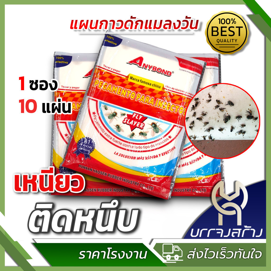 (1แพ็ค 10 แผ่น) กาวดักแมลงวัน เหนียวแน่น ติดดี กาวเยอะ รุ่นยอดนิยม ขายดีคุ้มค่า