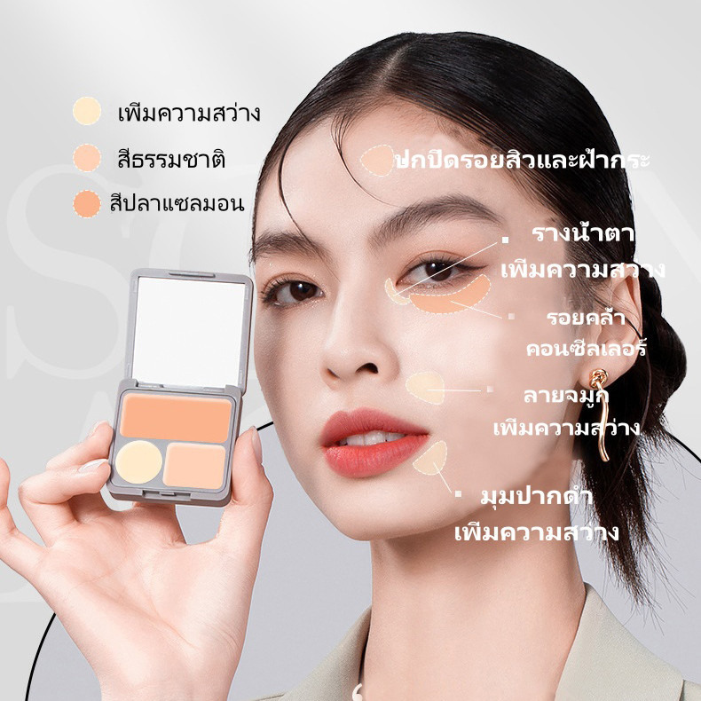 VEECCI คอนซีลเลอร์ สามสี ให้ออกไป แปรง รูปที่ 4