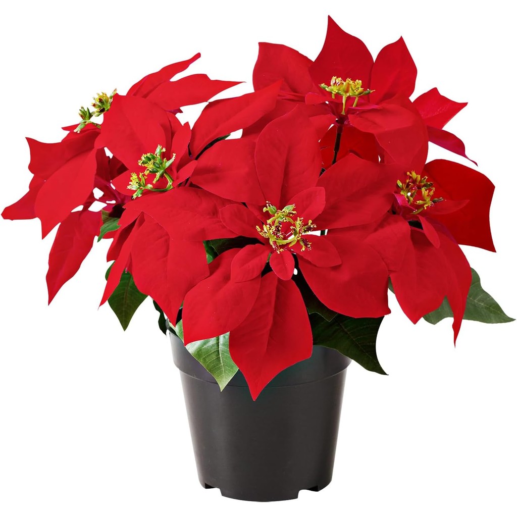 คริสมาสต์ ของตกแต่งคริสมาสต์ Poinsettia พืชประดิษฐ์ 13.4 นิ้วกํามะหยี่สีแดง Poinsettias ประดิษฐ์คริสต์มาสดอกไม้ในกระถางสําหรับในร่มกลางแจ้ง Xmas เครื่องประดับ Porch ตกแต่งบ้านสวน