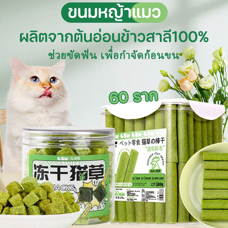 ขนมหญ้าแมว 60 ราก หญ้าแมวฟรีซดราย 150 กรัม ผลิตจากต้นอ่อนข้าวสาลี100% ช่วยขัดฟัน เพื่อกำจัดก้อนขน บรรจุในถังปิดผนึก ราคา ถูกที่สุด ดีลบีเคเค