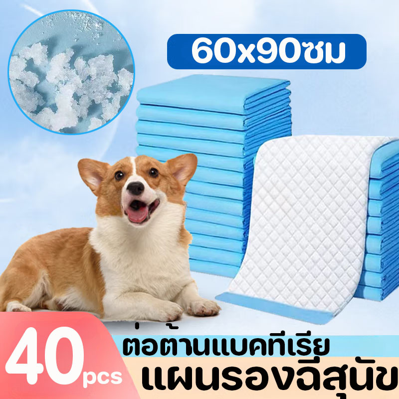 แผ่นรองฉี่สุนัข แผ่นรองฉี่ 60x90ซม ต่อต้านแบคทีเรีย ซึมซับไดีดี ผ้ารองฉี่ ถาดรองฉี่สุนัข แผ่นรองฉี่แมว