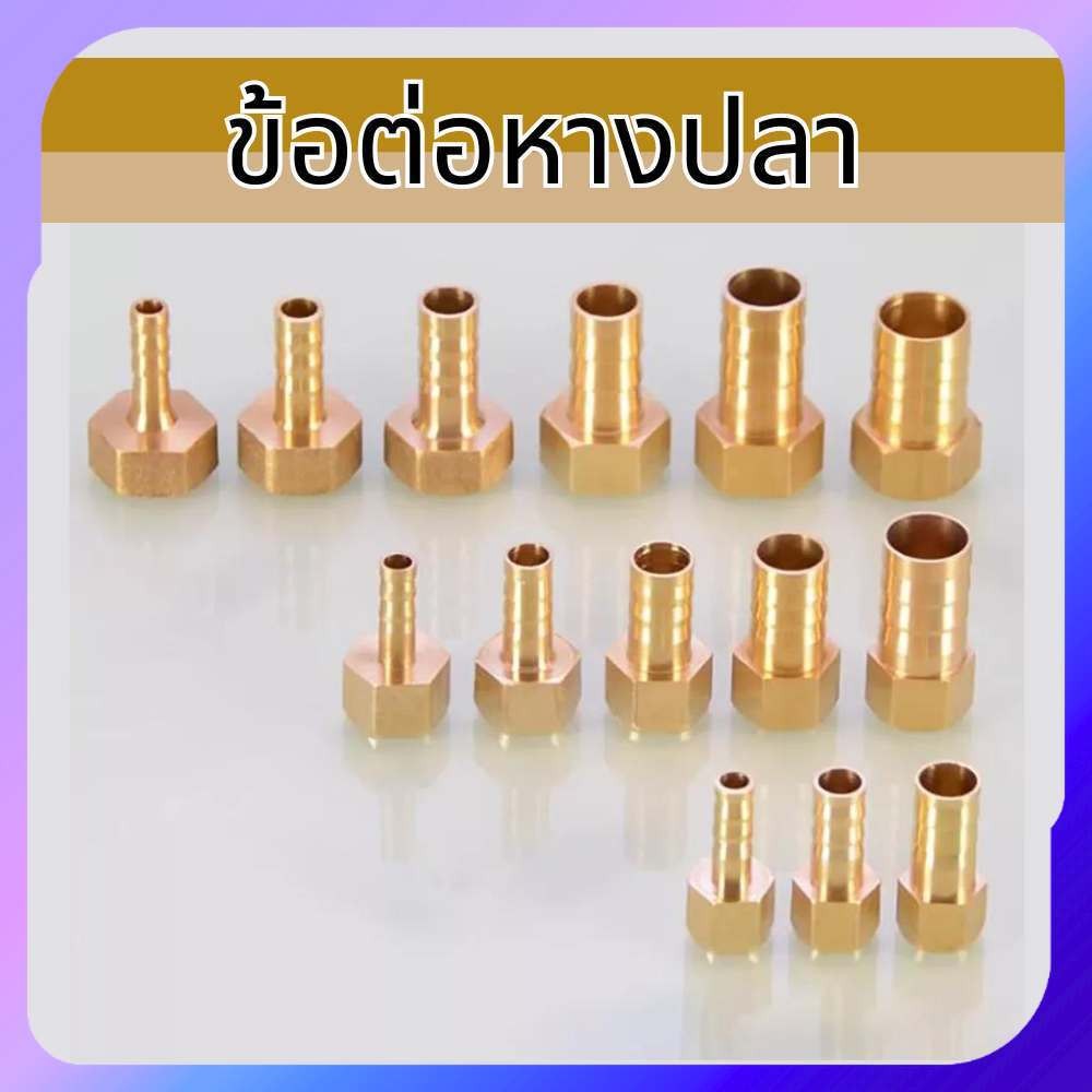 Apluz ข้อต่อทองเหลือง ข้อต่อหางปลา เกลียวใน - สายเสียบหางปลาไหล ไม่เป็สนิม พร้อมส่ง