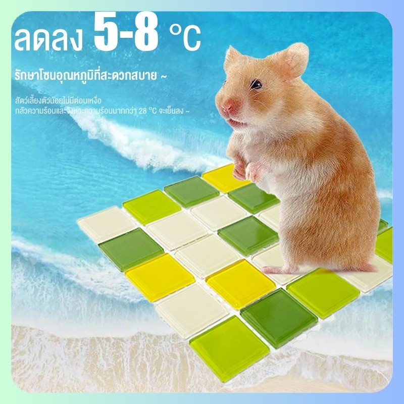 สินค้าอยู่ในไทย พร้อมส่ง กระเบื้องคลายร้อนแบบหนา สำหรับสัตว์เลี้ยงตัวเล็กสำหรับสัตว์เลี้ยงหนูแฮมสเตอร์