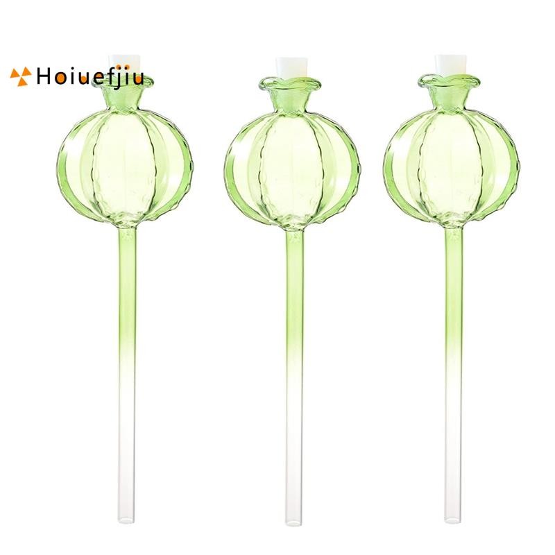 Houefjiu3 ชิ้นพืชรดน้ํา Globes Self รดน้ํา Globes Blown อุปกรณ์รดน้ําต้นไม้สําหรับพืชในร่มกระบองเพชร