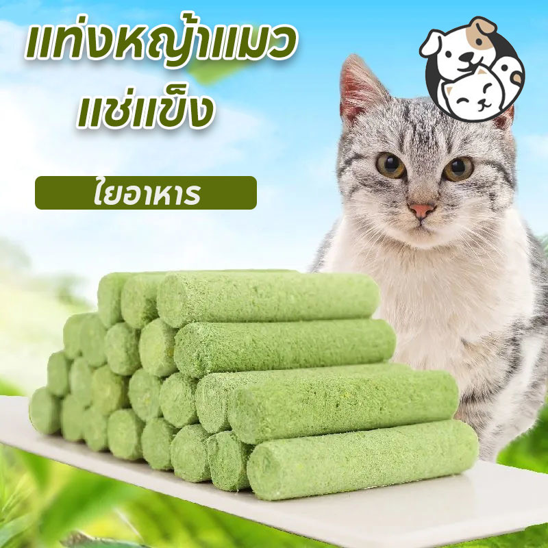 ขนมหญ้าแมว 60ราก บรรจุในถังปิดผนึก ช่วยขัดฟัน เพื่อกำจัดก้อนขน ไม้ฟันหญ้าแมว