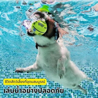 CODของเล่นสัตว์เลี้ยง ของเล่นสุนัขขัดฟัน ลูกบอลสุนัขมีเสียง Giggle Glow Ball ลูกบอล สุนัข ของเล่นสุนัขมีเสียง