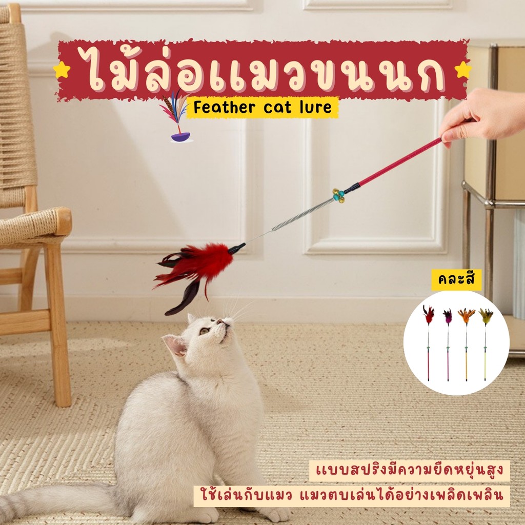 ไม้แกล้งแมว คละสี ไม้ล่อแมวของเล่นแมว ดึงดูดความสนใจ ไม้ตกแมว ทำให้น้องไม่เหงา