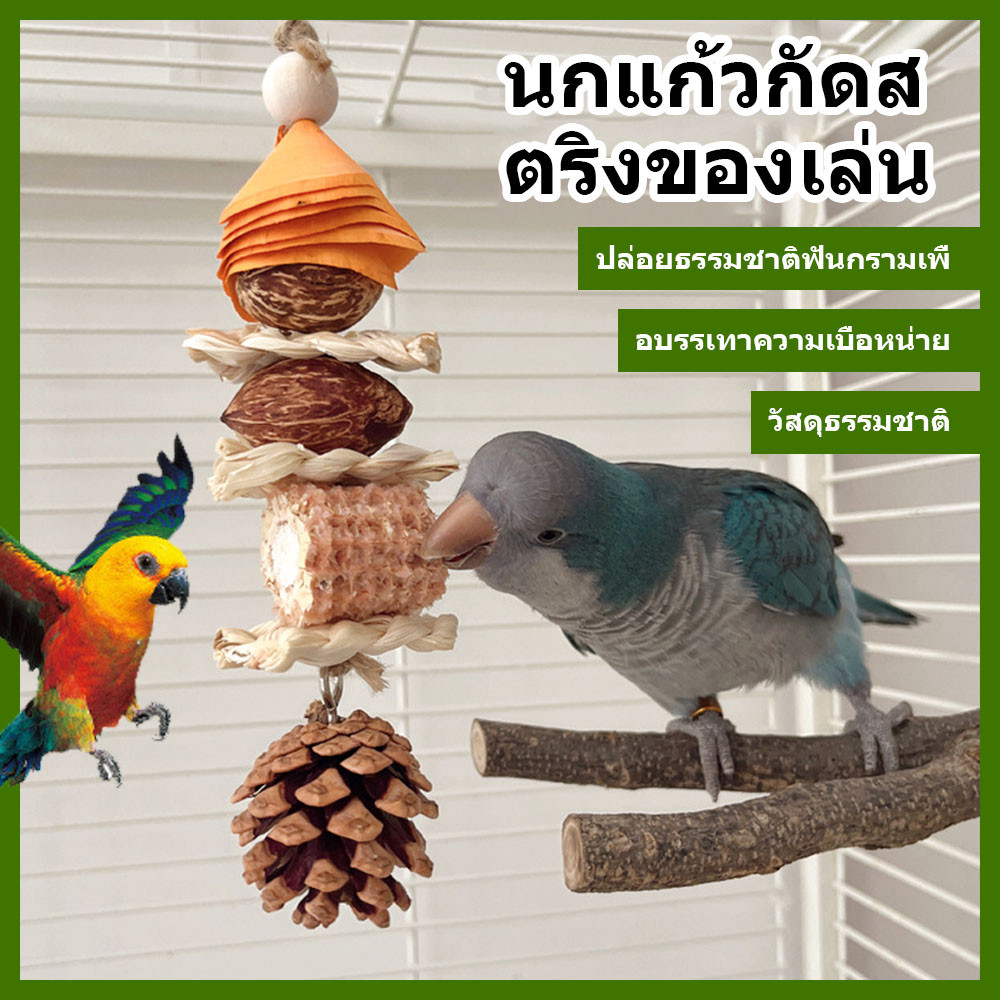 ของแทะวัสดุลูกสนหัดและ27*5cmไม้ทำนกแก้วจาก-ถั่วธรรมชาติ