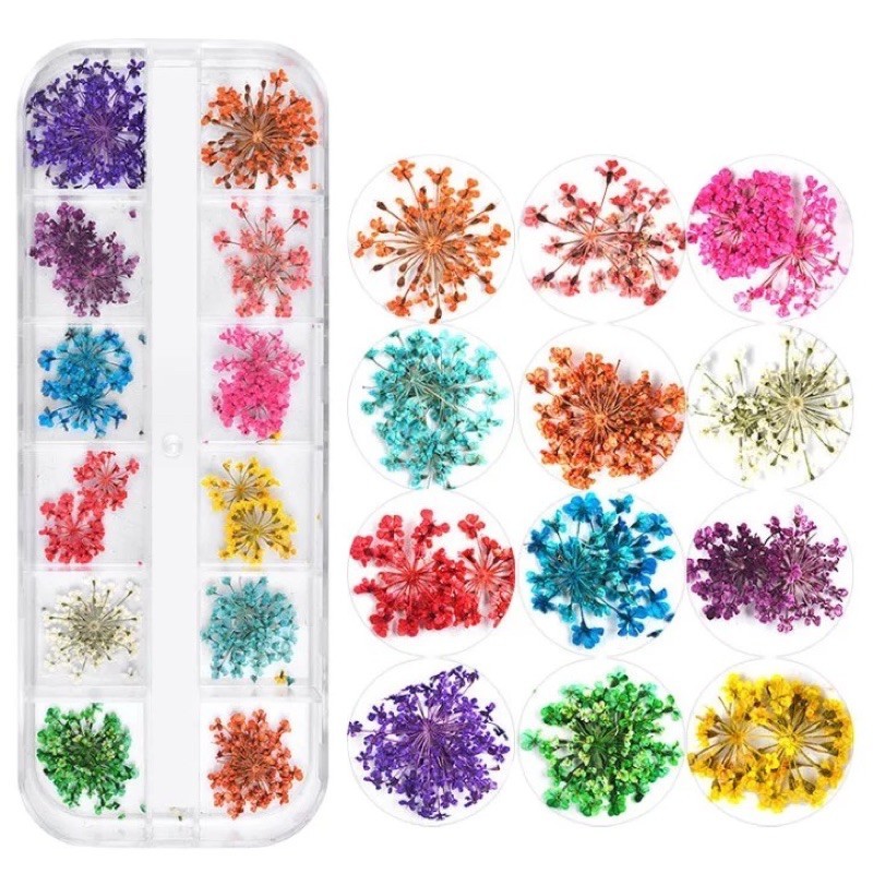 ดอกไม้ตกแต่งเล็บ ดอกไม้แห้ง -wenails