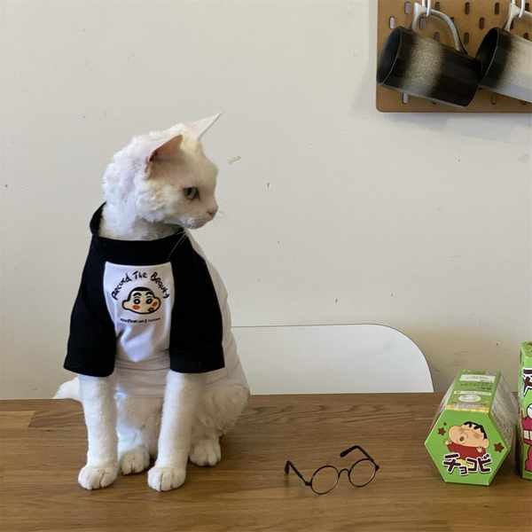 ฤดูใบไม้ผลิและฤดูร้อน Abyssinia Cat เสื้อผ้าแมวไม่มีขนแมวเยอรมันเสื้อยืดผ้าฝ้ายเกาหลีสุนัขเสื้อ bott