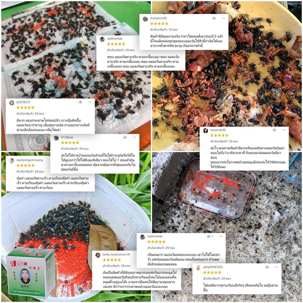 ผงไข่เน่า เหยื่อกำจัดแมลงวัน ฆ่าแมลงวันขั้นเทพ ใช้ฆ่าแมลงวันบ้าน ดักแมลงวัน กำจัดแมลงวัน กับดักแมลงวัน - รูปที่ 2