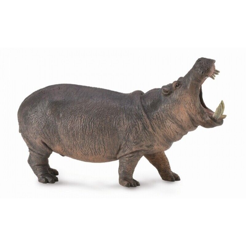 Collecta 88833 Hippopotamus Hippo Model Toy ใหม่