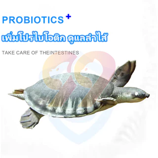 99PET อาหารเต่า อนุภาคขนาดใหญ่ มาซูริ อาหารเต่าน้ำ เต่าญี่ปุ่น ตะพาบ เต่าหมูบิน 320g
