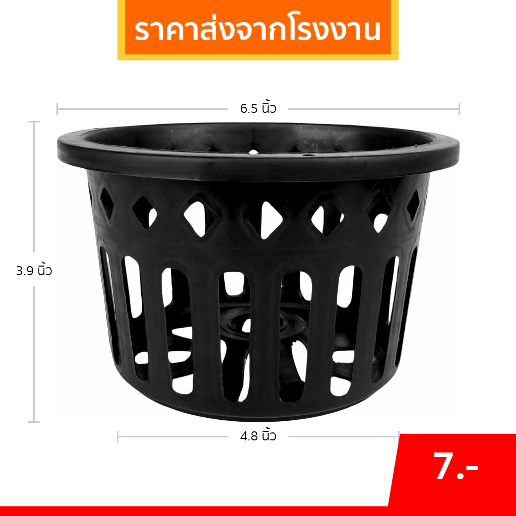 กระถาง กระถางกล้วยไม้ กระถางแขวน กลม 6 นิ้ว Bundle 50 ใบ