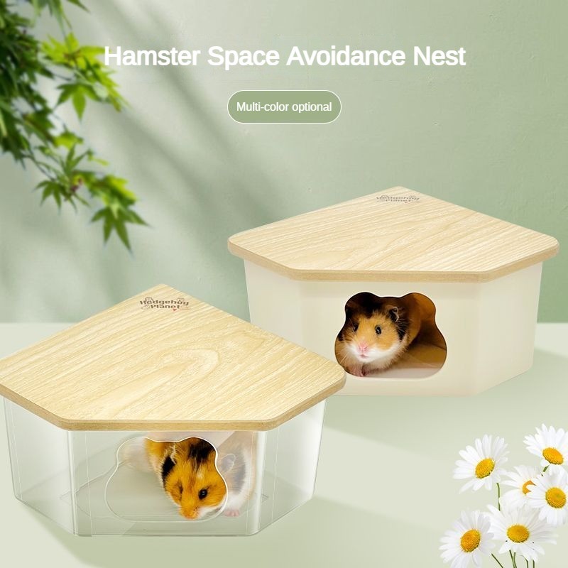 ✨✨หนูแฮมสเตอร์รังสามเหลี่ยมหลบบ้านหมีไหมสีทองบ้านหลังเล็กบันไดภูมิทัศน์เฟอร์นิเจอร์กระท่อม