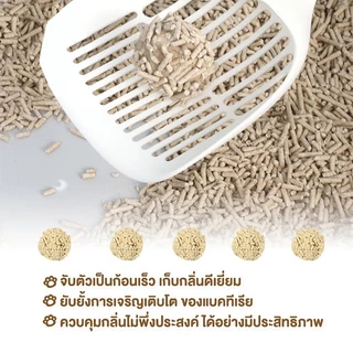 Cat litter 6L ทรายเต้าหู้ ออร์แกนิค100% ผลิตจากกากถั่วเหลืองธรรมชาติ ทรายแมว ทรายแมวเต้าหู้