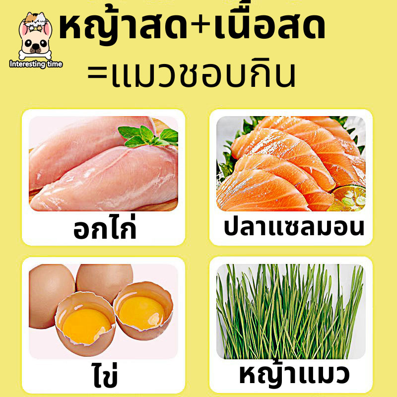 หญ้าแมวฟรีซดราย หญ้าแมวอัดแท่ง ขนมแมว หญ้าแมวผสมไก่ ถุงละ 6 แท่ง อกไก่ผสมต้นอ่อนข้าวสาลีฟรีซดรา - รูปที่ 3