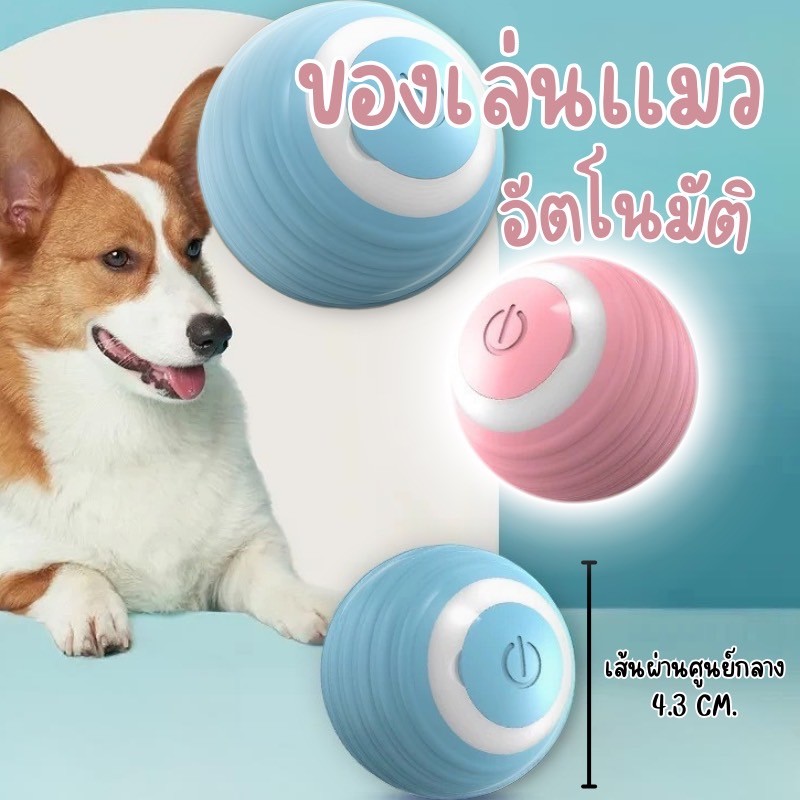 NL-ของเล่นลูกบอลไฟฟ้าอัจฉริยะ แบบโต้ตอบ เคลื่อนไหวเอง สําหรับฝึกสัตว์เลี้ยง สุนัข แมว