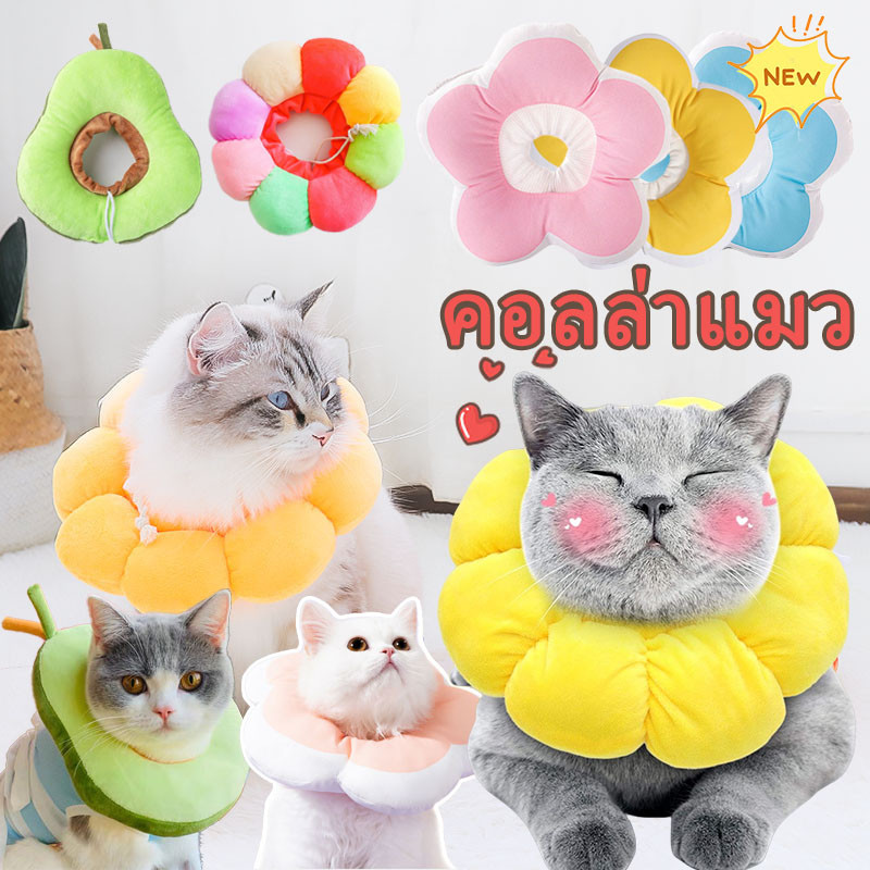 🔥 พร้อมส่ง 🔥คอลล่าแมว ปลอกคอกันเลีย คอลล่าหมา ปลอกคอดอกไม้  ปลอกคอกันเลีย น้องหมา น้องแมวคอลล่ากันเลีย