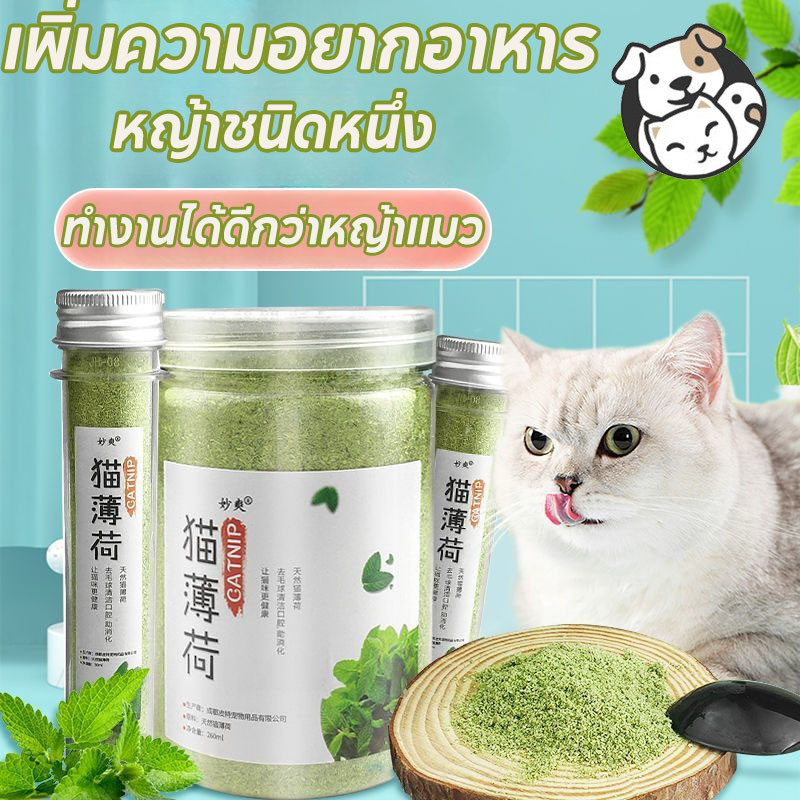 COD แคทนิปแมว กัญชาแมว แบบผงบดละเอียด 50/250ml กัญชาหลอด แมวชอบมาก