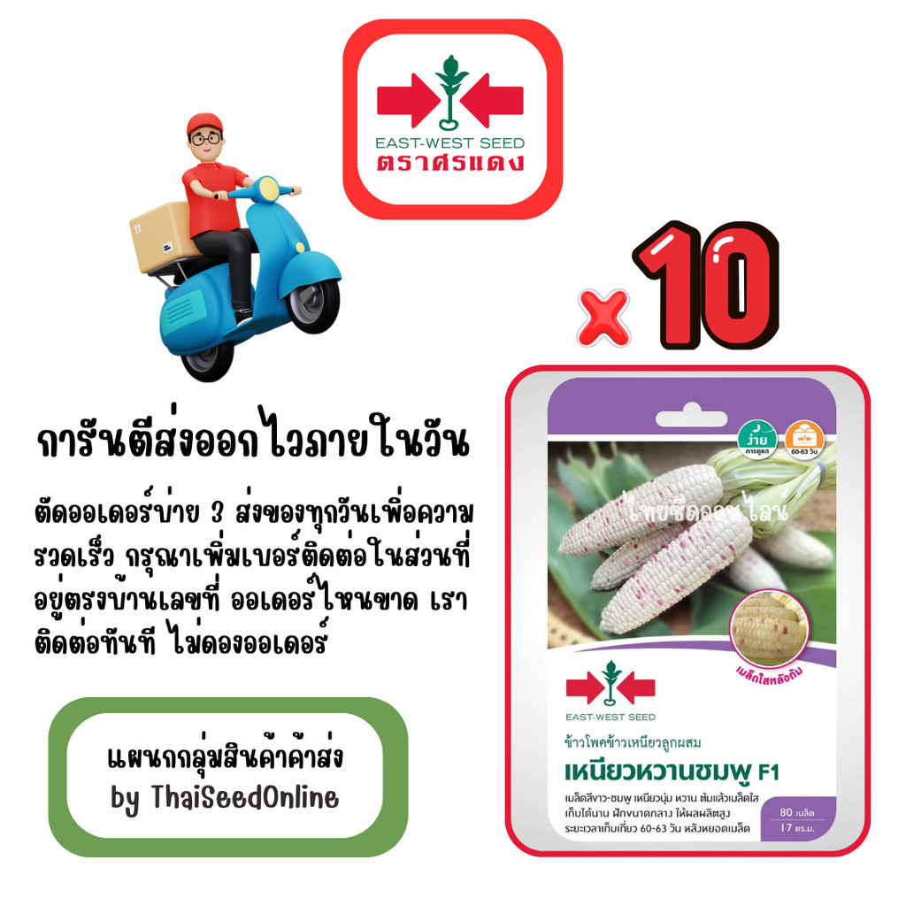GG x 10 เมล็ดผักซองศรแดง เหนียวหวานชมพู ข้าวโพด สินค้ายกแพ็ค