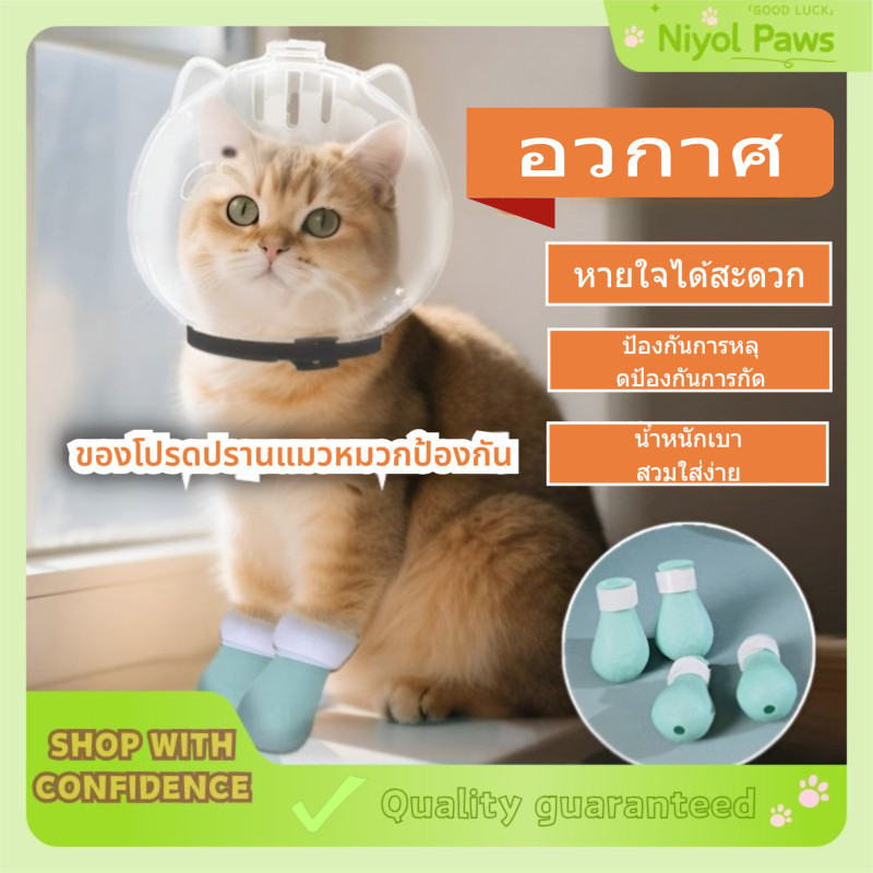 หมวกกันกัดกันเลียแมว ฮูดใสระบายอากาศดี หมวกครอบกันแผลหลังผ่าตัด ใส่สบาย ไม่ร้อน ส่งฟรี