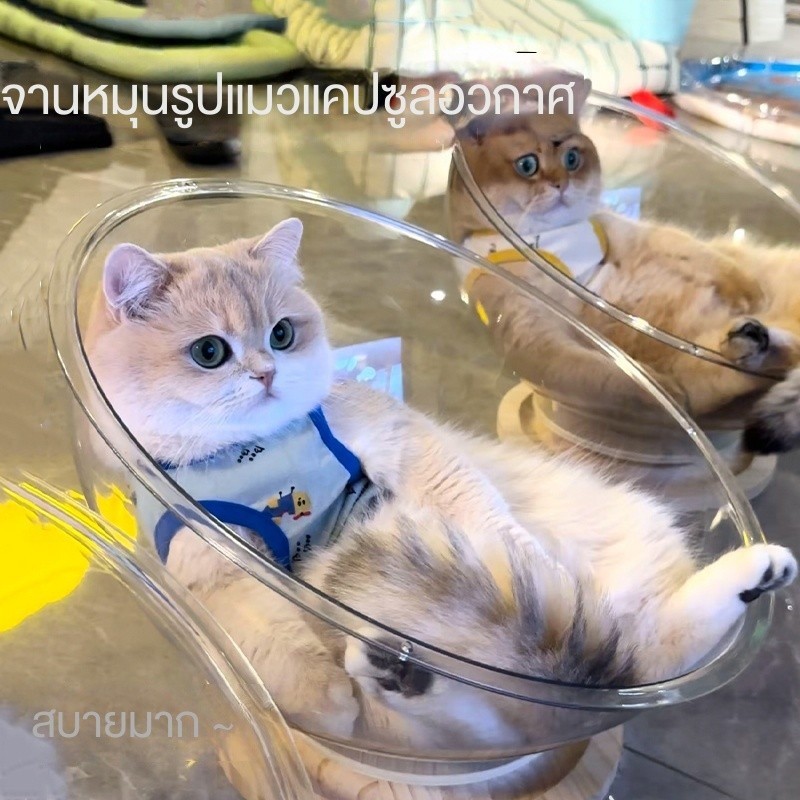 แคปซูลอวกาศแมวรังสี่ฤดูกาลสากลแมวเปลรังแมวแผ่นเสียงแมวของเล่นแมวเตียง