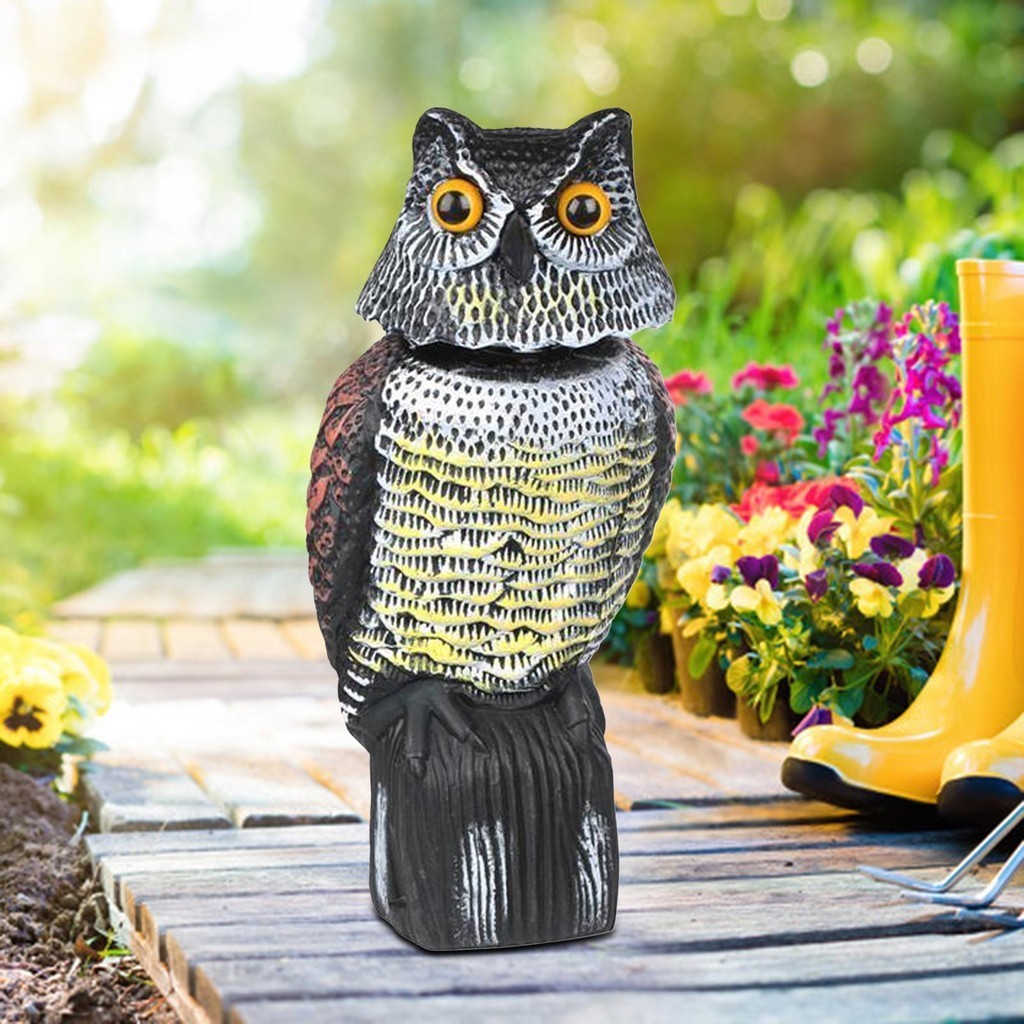 [Lszcx6l] Owl ตาสมจริงสําหรับควบคุมหุ่นไล่กา Garden Decoy 15x 15 x 38 ซม.