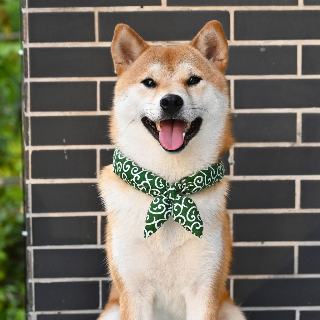 Rui Chai สไตล์ญี่ปุ่นสไตล์ญี่ปุ่น Tang หญ้าผ้าพันคอผ้าฝ้าย Shiba Inu ตุ๊กตาสัตว์เลี้ยงแมวอุปกรณ์สุนัขมะนาวผ้าพันคอผ้าพันคอ Bowknot ※ 8.5