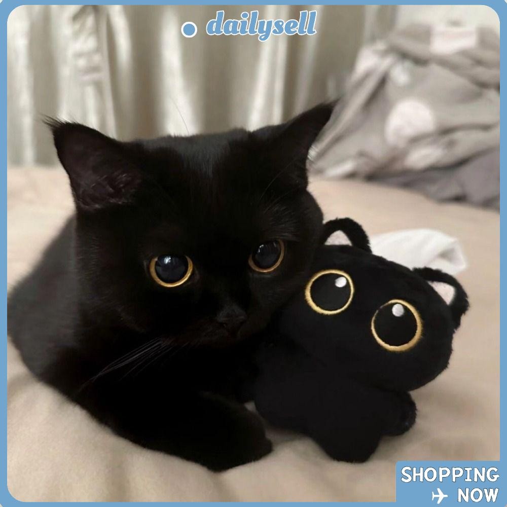 Daily Cat Doll Keyring, Cartoon Desktop Decorative Cat Keychain, Kawali Plush Gift Black Bag Charms