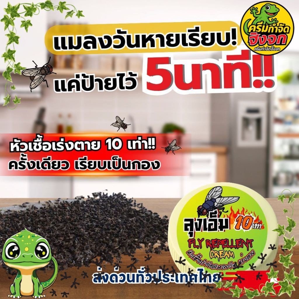 ฆ่าแมลงวันขั้นเทพ  ครีมกำจัดแมลงวัน ใช้งานง่าย กำจัดไว 10 เท่า