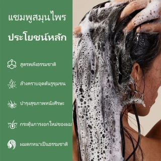แชมพูเหลว ลดผมขาดหลุดร่วง เร่งผมยาว กระตุ้นเส้นผมงอกใหม่ สกัดจากสมุนไพรสด7ชนิด ถนอมเส้นผม
